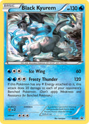 Black Kyurem - XY160 - XY Promo - Card Cavern