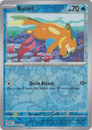 Buizel - 048/197 - Obsidian Flames - Reverse Holo - Card Cavern