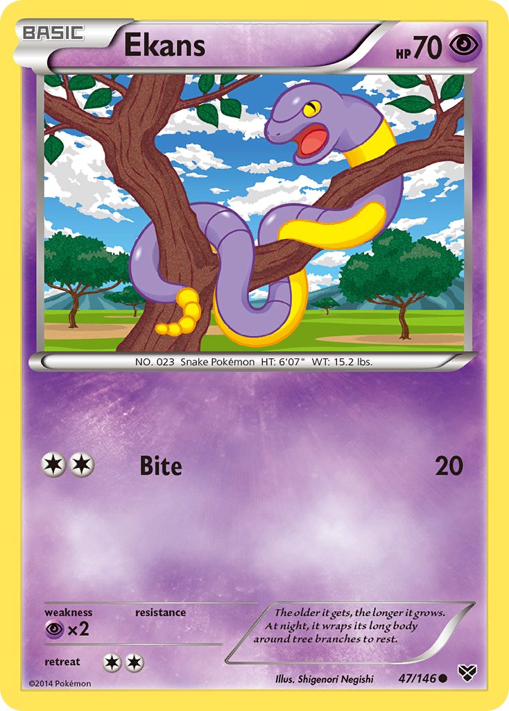 Ekans - 47/146 - XY Base - Card Cavern