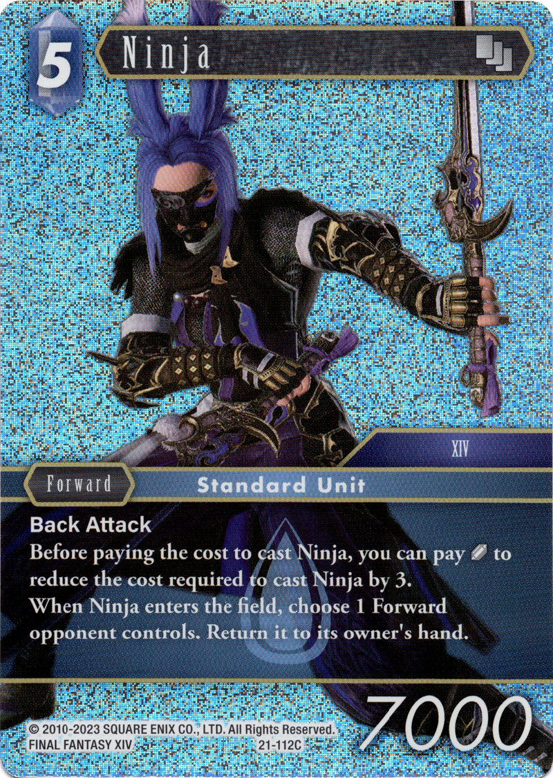 Ninja - 21-112C - Beyond Destiny - Foil - Card Cavern