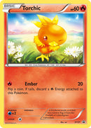 Torchic - XY37 - XY Promo - Card Cavern